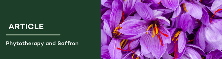 Saffron 2 header